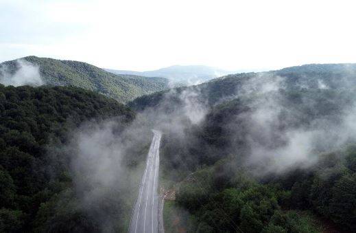 Sudaki orman. Dünyanın sayılı ormanlarından biri Türkiye’de 32